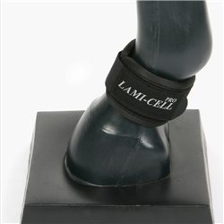 Pastern Wrap Size M