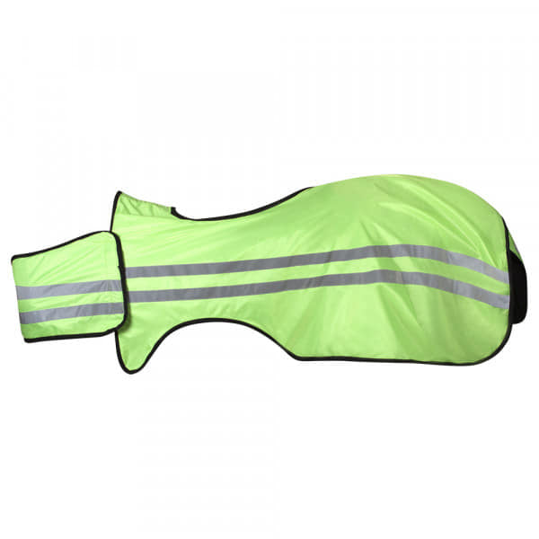 Hi Viz Exercise Rug