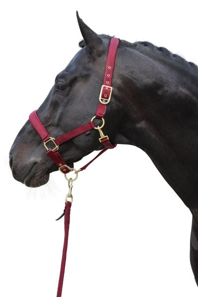 Classy Halter