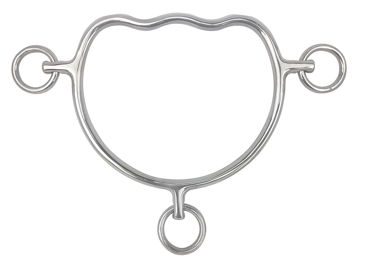 Chifney - Anti Rear Bit