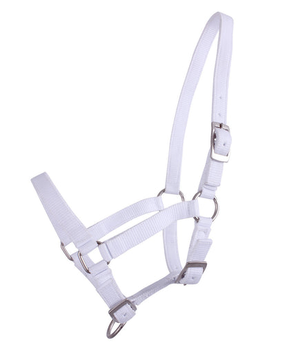 Head collar Falabella