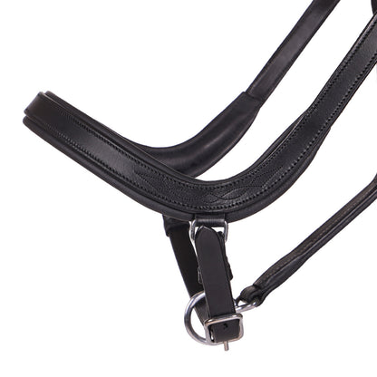 QHP Salerno Halter