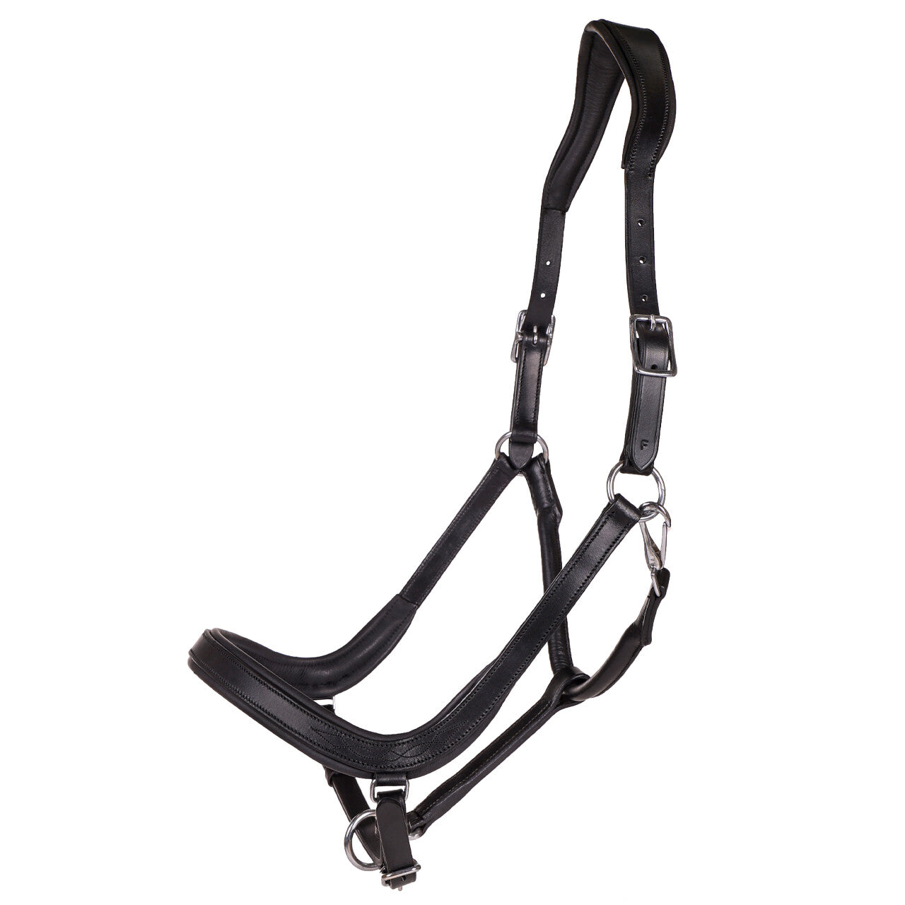 QHP Salerno Halter