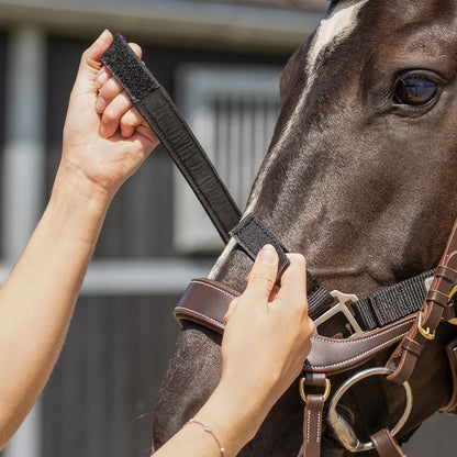 QHP Tack Up Halter