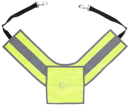 Reflective Breastplate