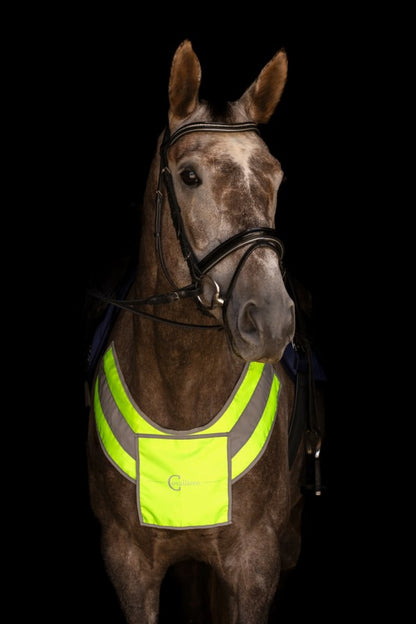 Reflective Breastplate