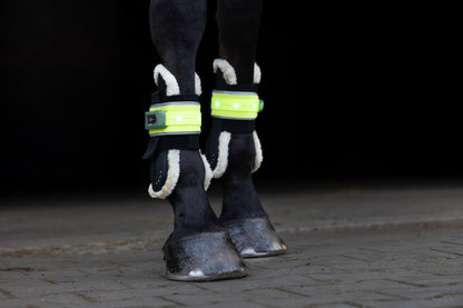 Illuminated Gaiter LED