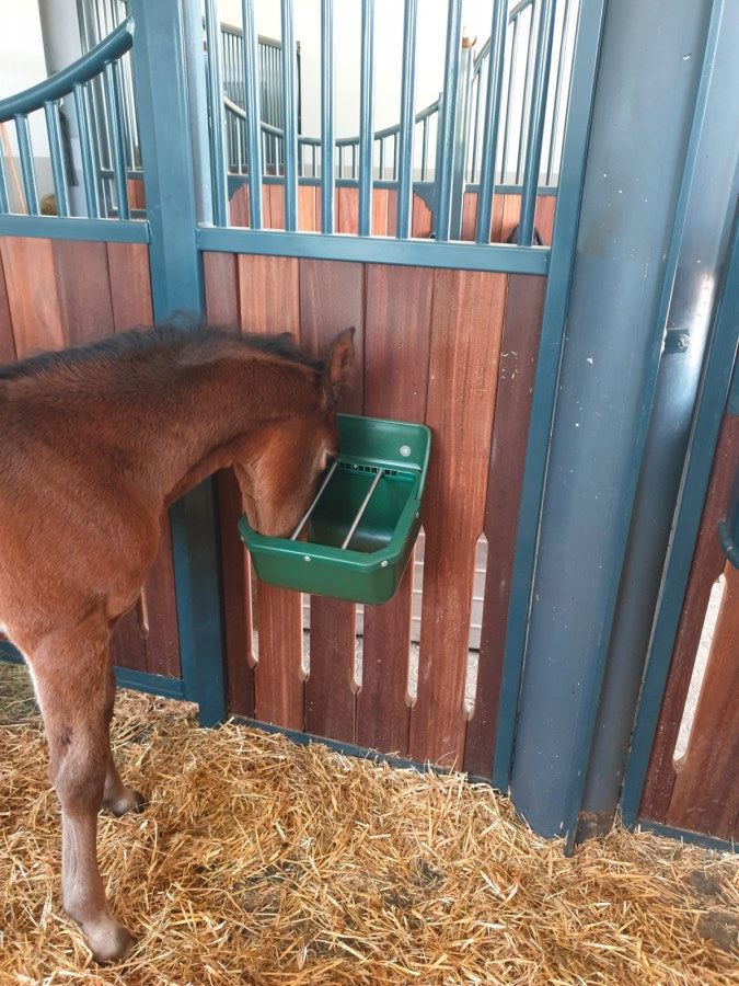 Feeding Trough with Metal Bars