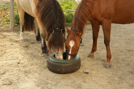 Tyre Trough