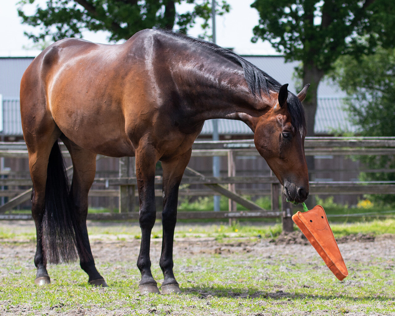 Horse Toy