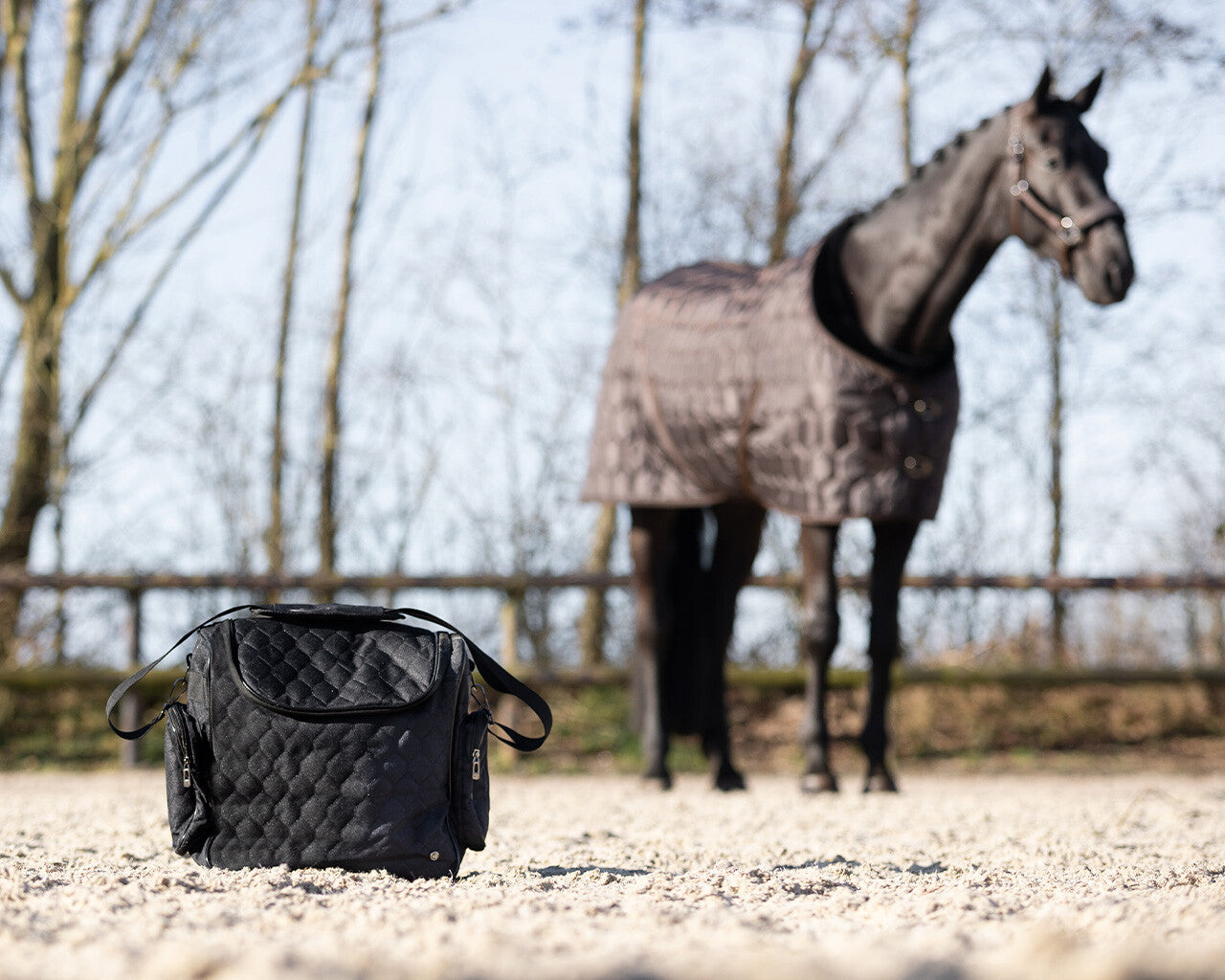 Grooming Bag