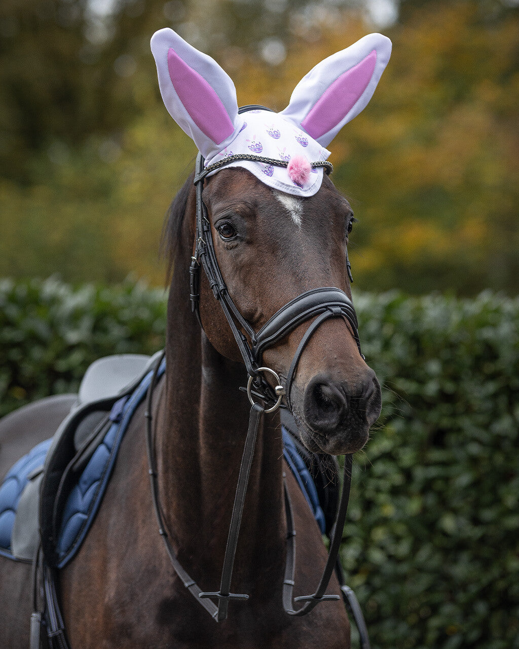 Ear net Easter bunny