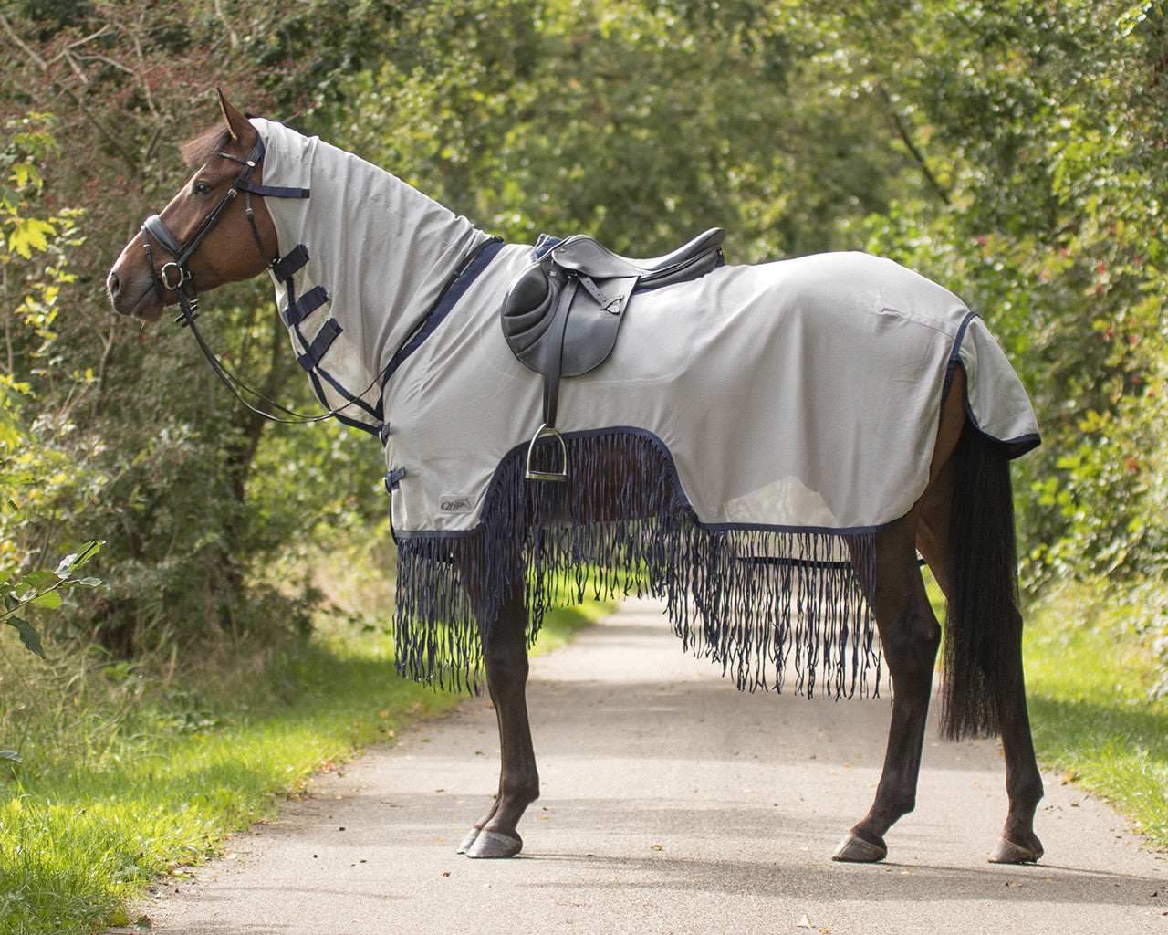 Exercise fly sheet with fringes