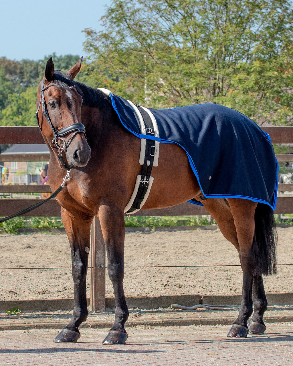 Lunging rug Florence