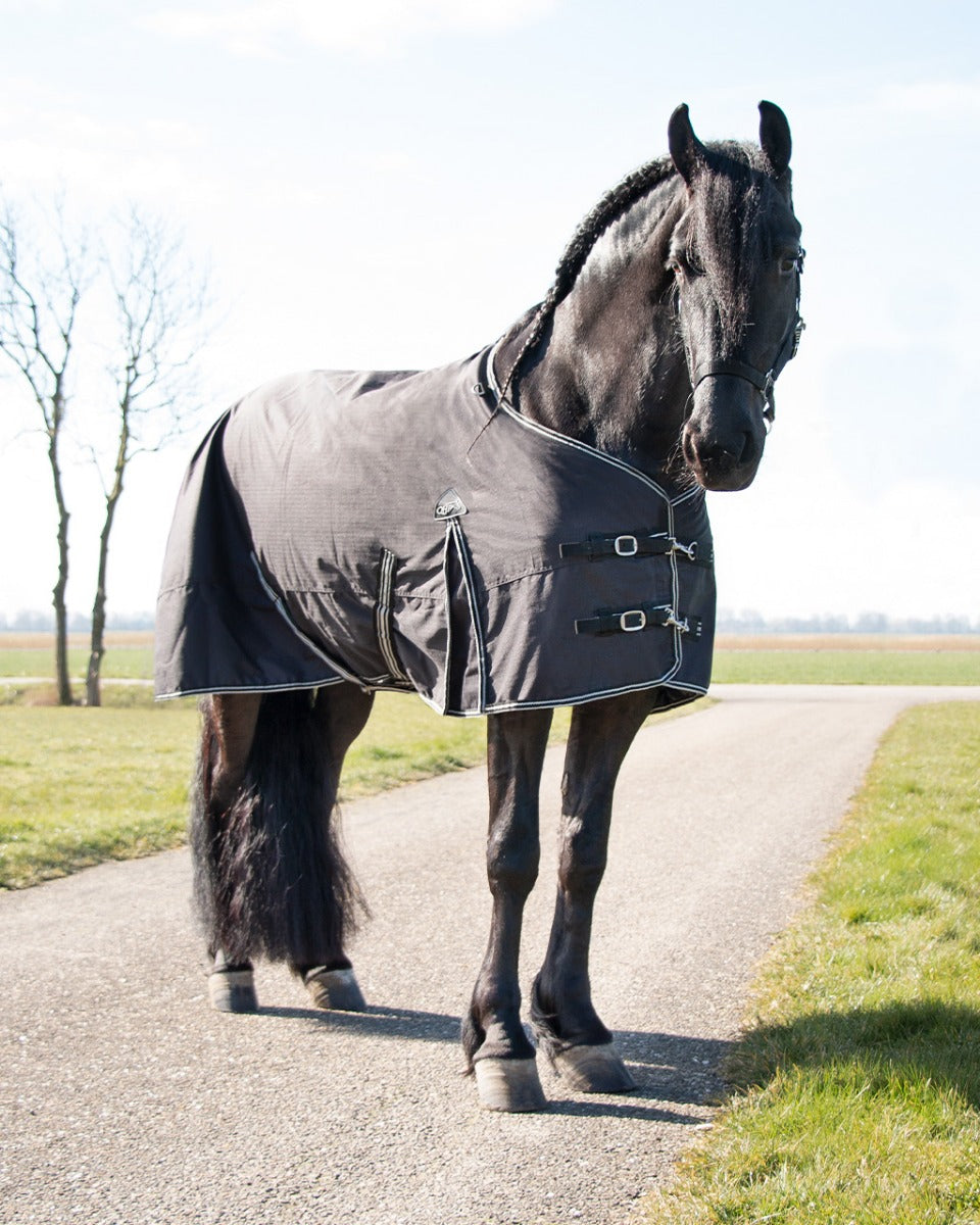 QHP Turnout Rug Big Neck 150g