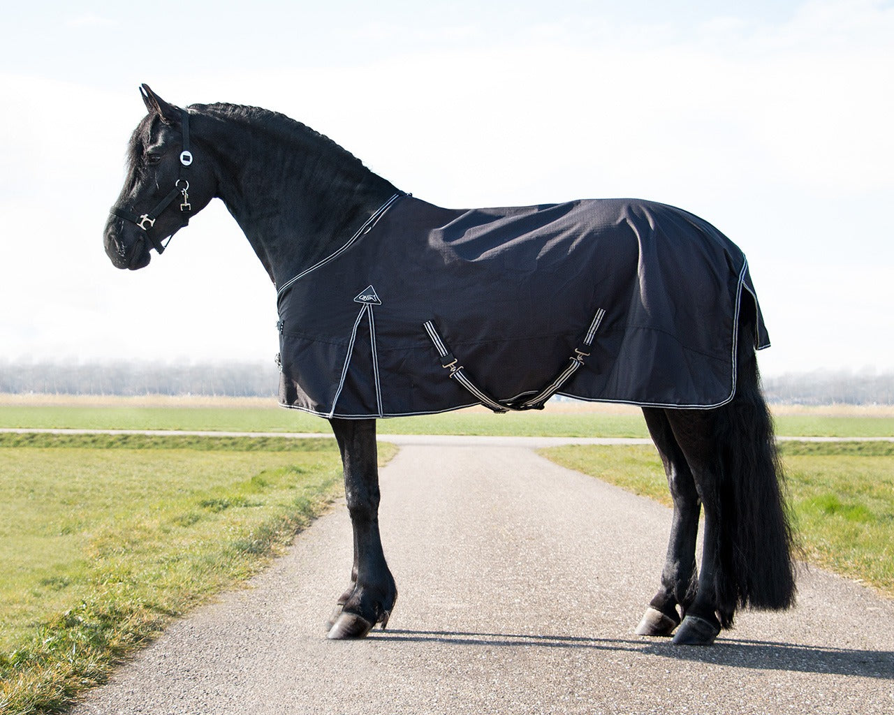 QHP Turnout Rug Big Neck 150g