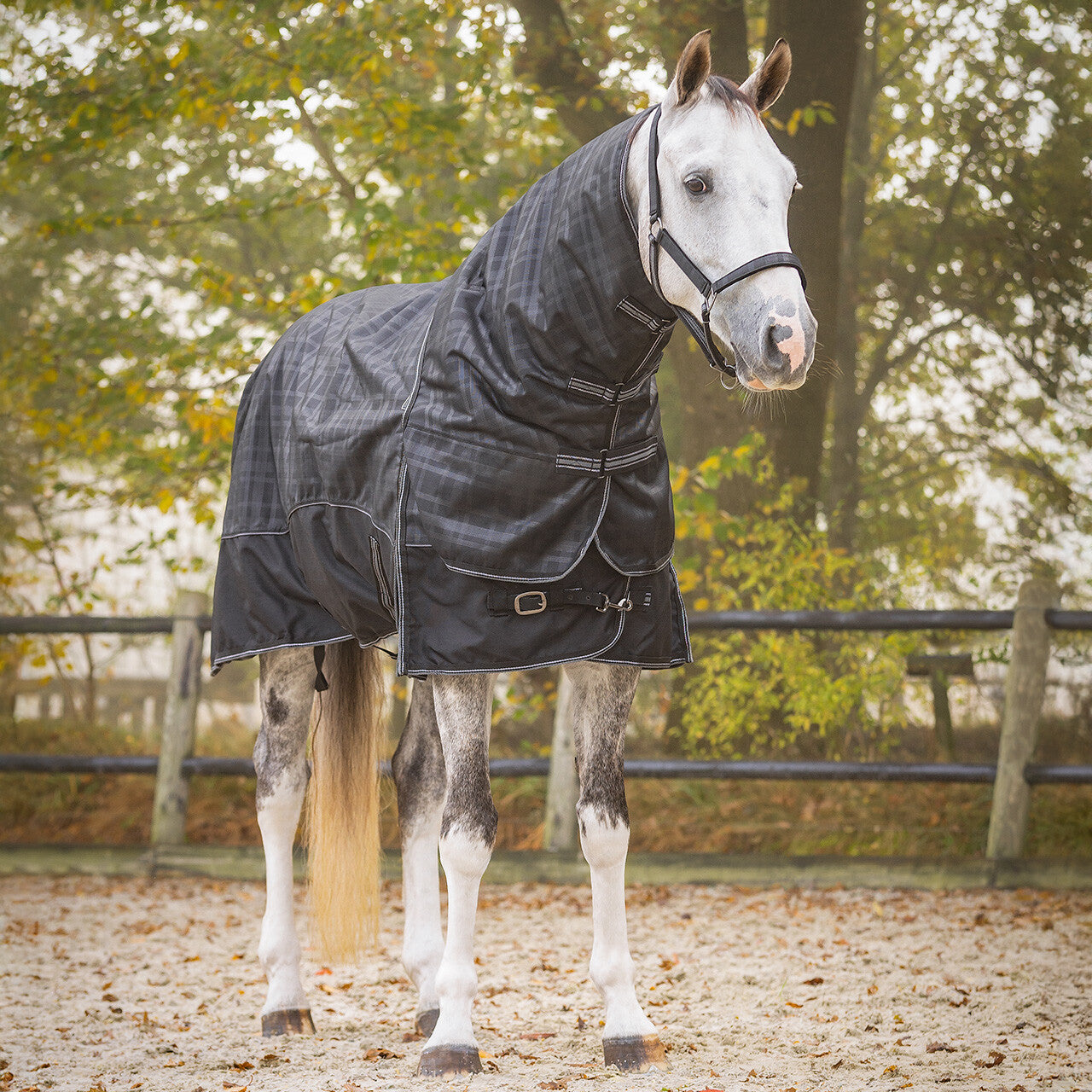 QHP Turnout Rug 1200D