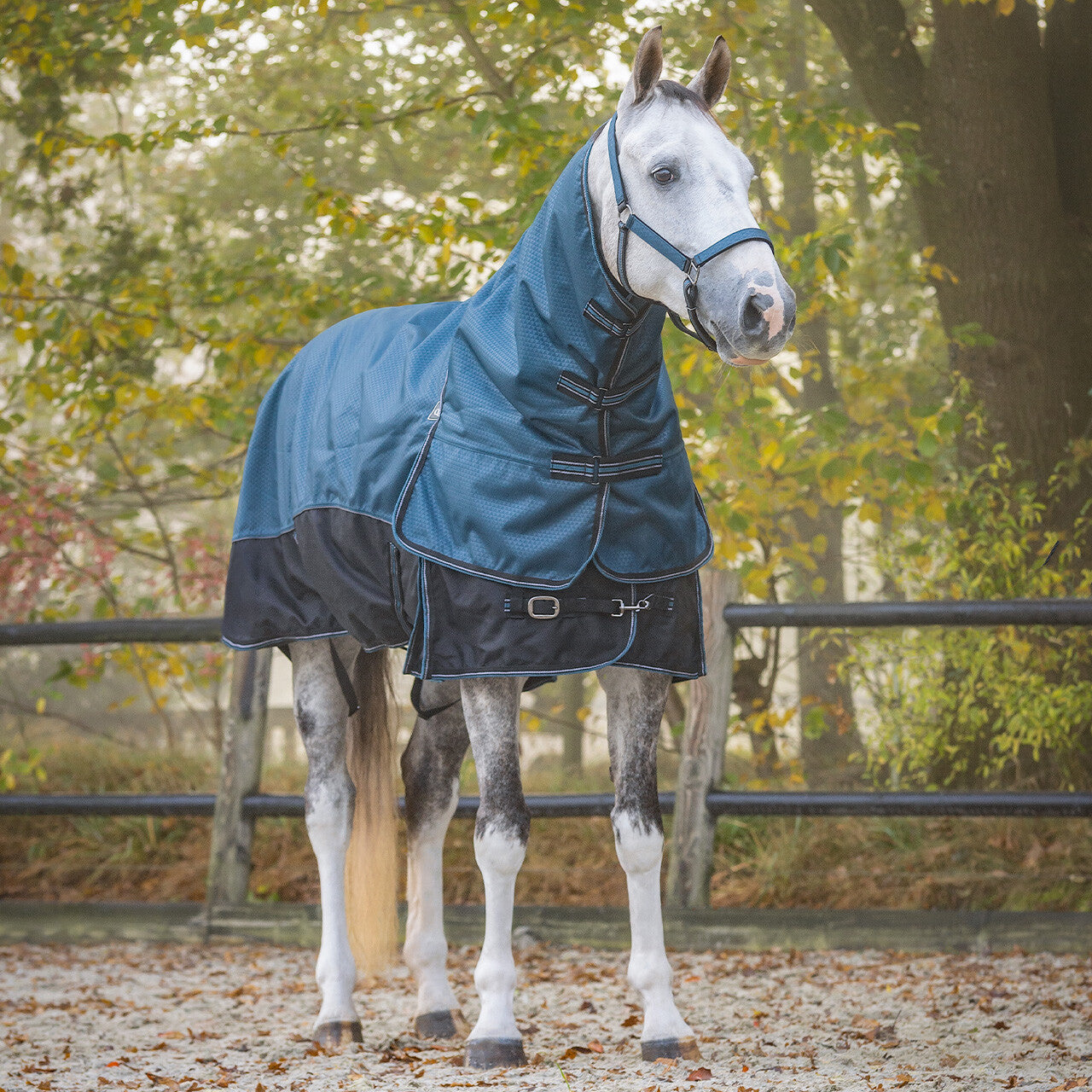 QHP Turnout Rug 1200D