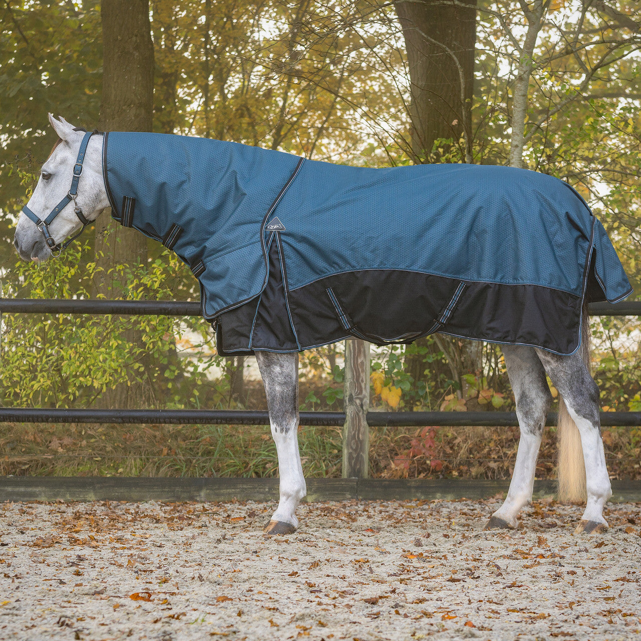 QHP Turnout Rug 1200D