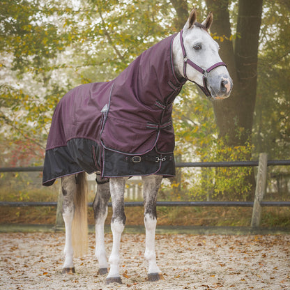 QHP Turnout Rug 1200D