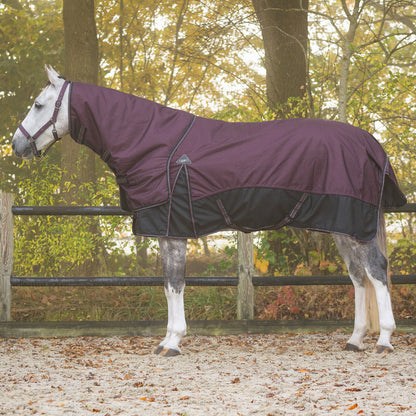 QHP Turnout Rug 1200D