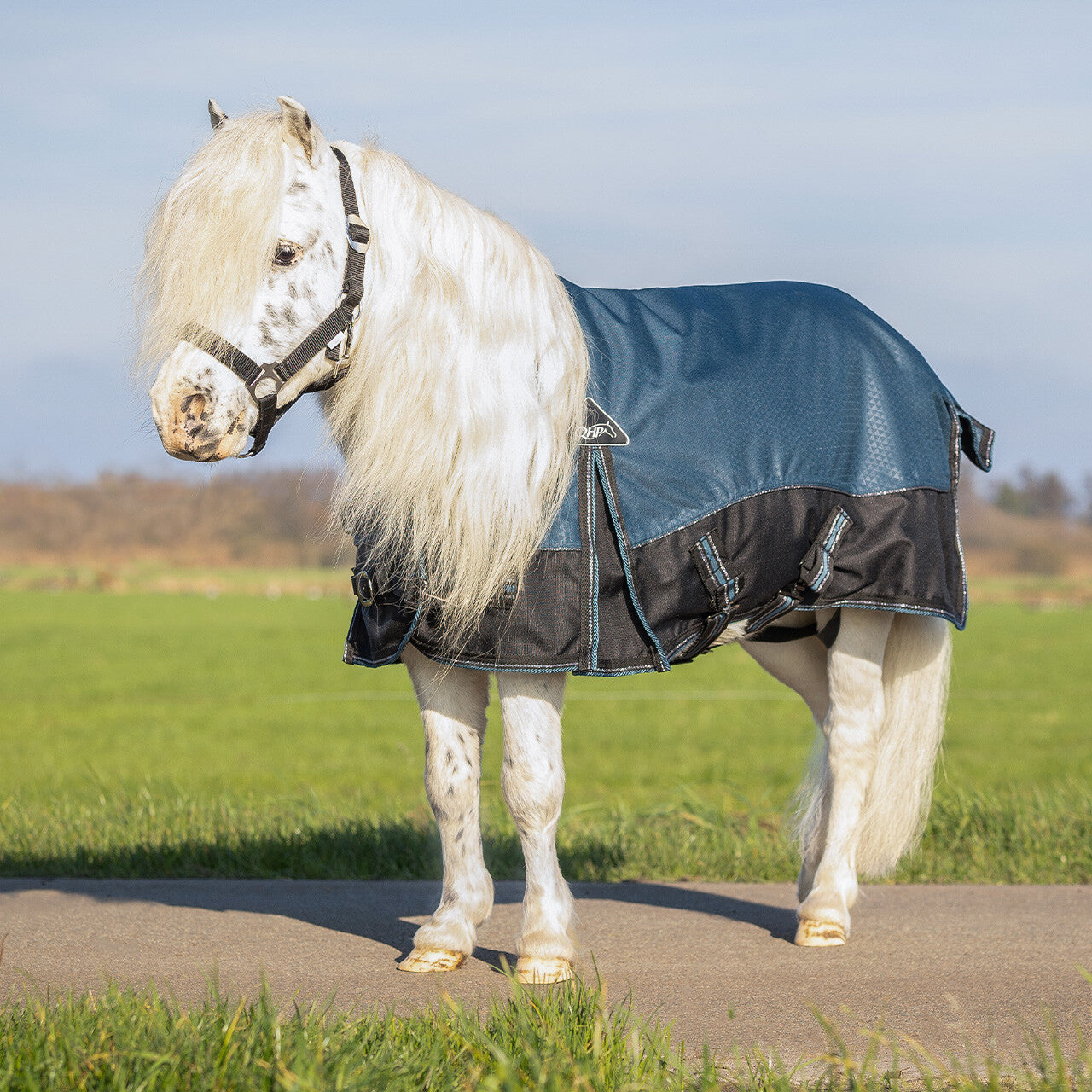 QHP Turnout Rug Falabella 50g