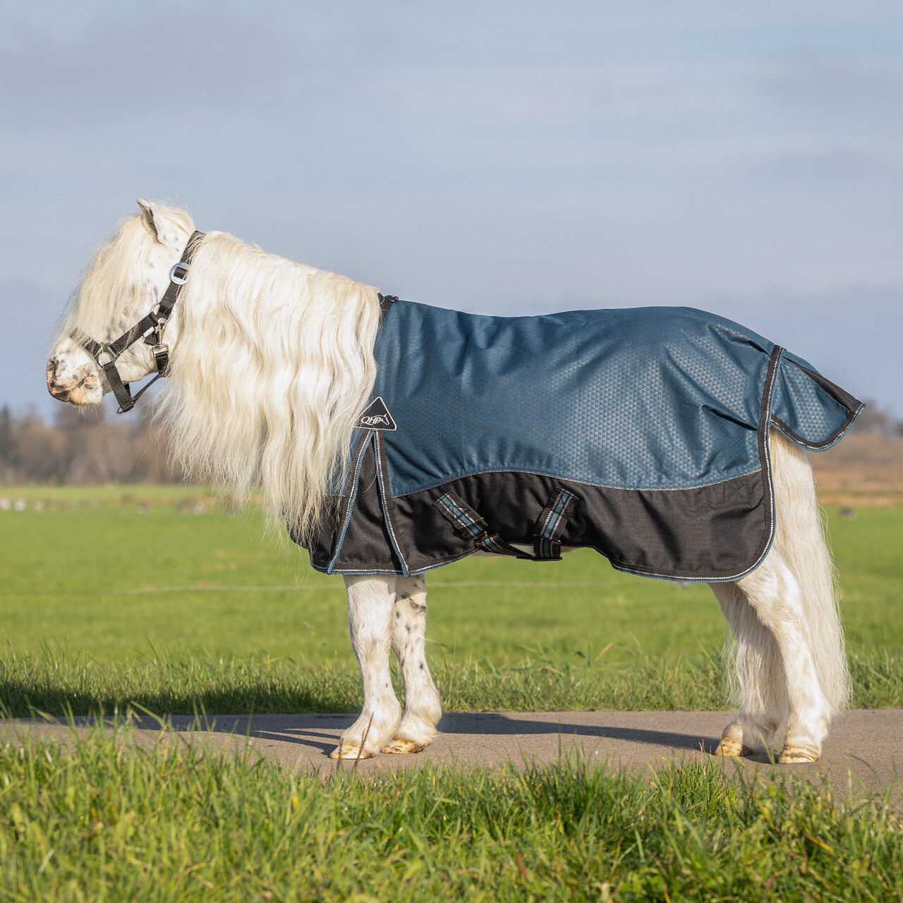 QHP Turnout Rug Falabella 50g