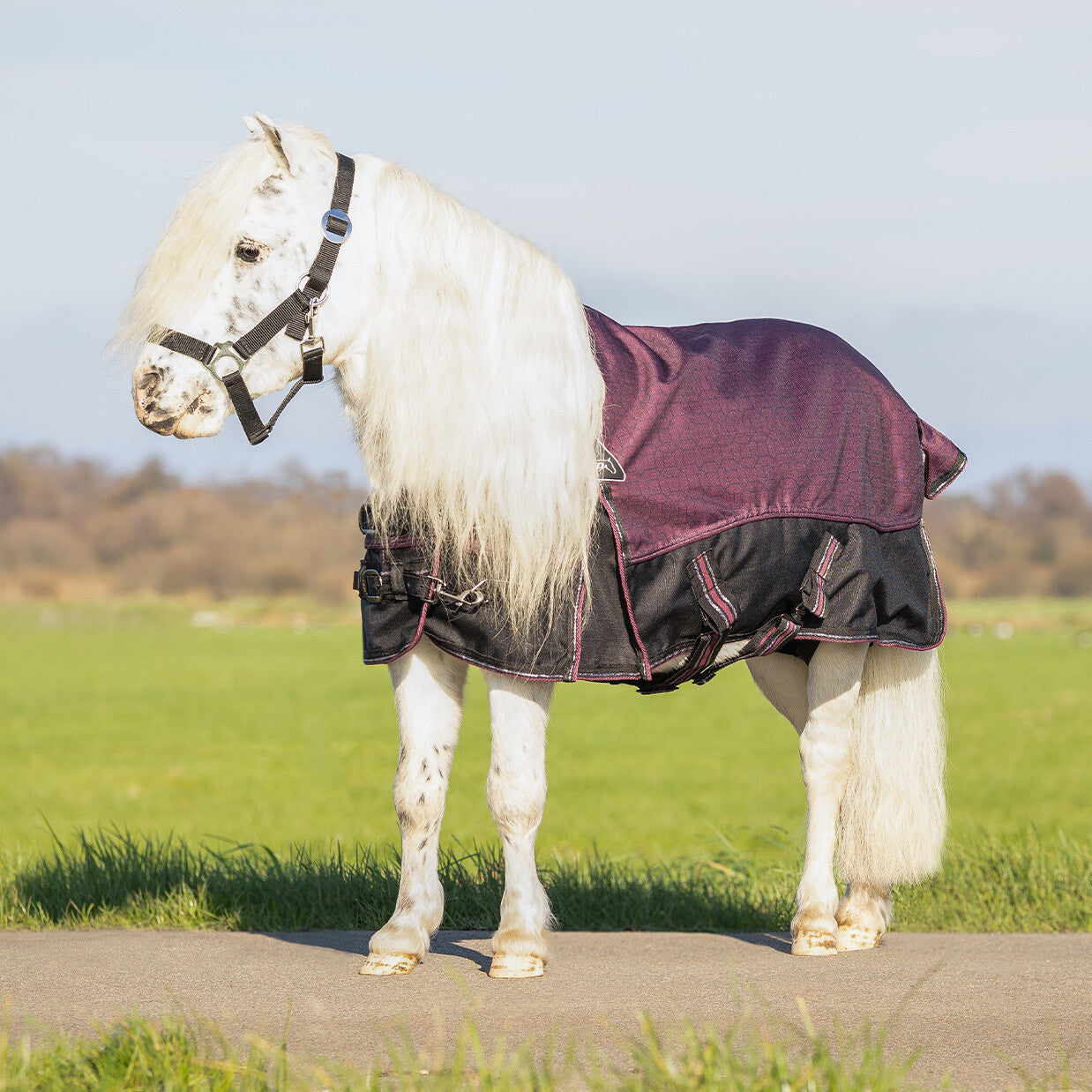 QHP Turnout Rug Falabella 50g