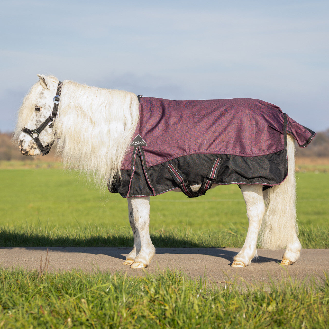 QHP Turnout Rug Falabella 50g