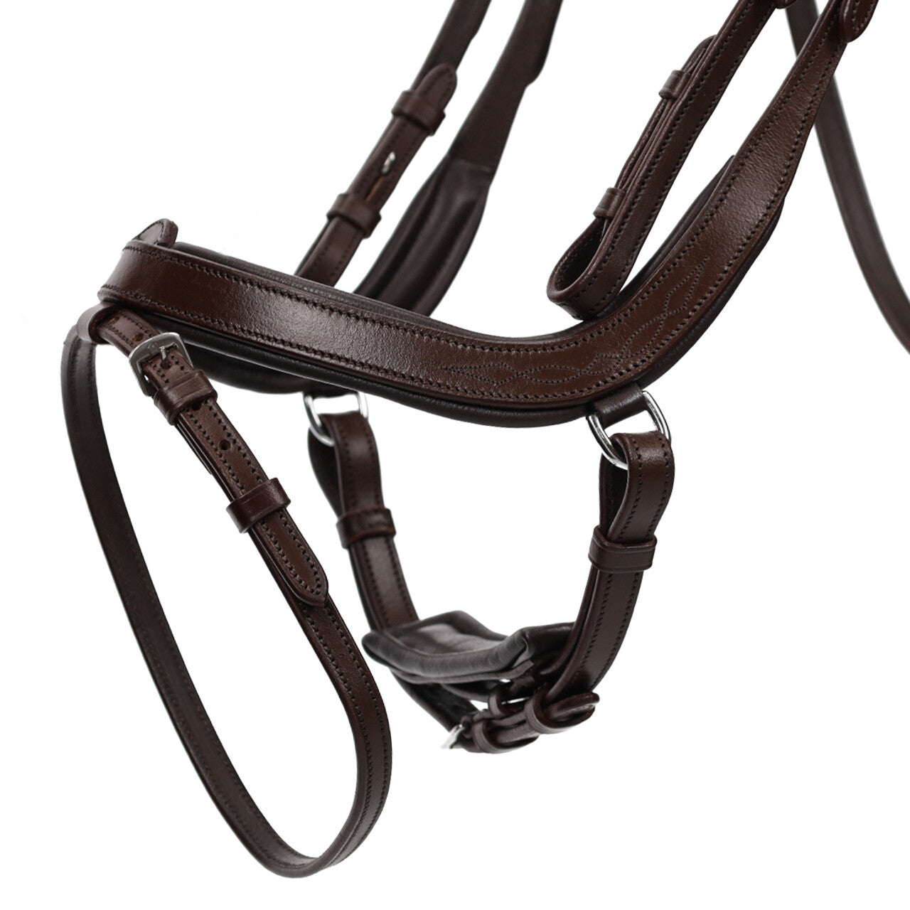 QHP Salerno Bridle