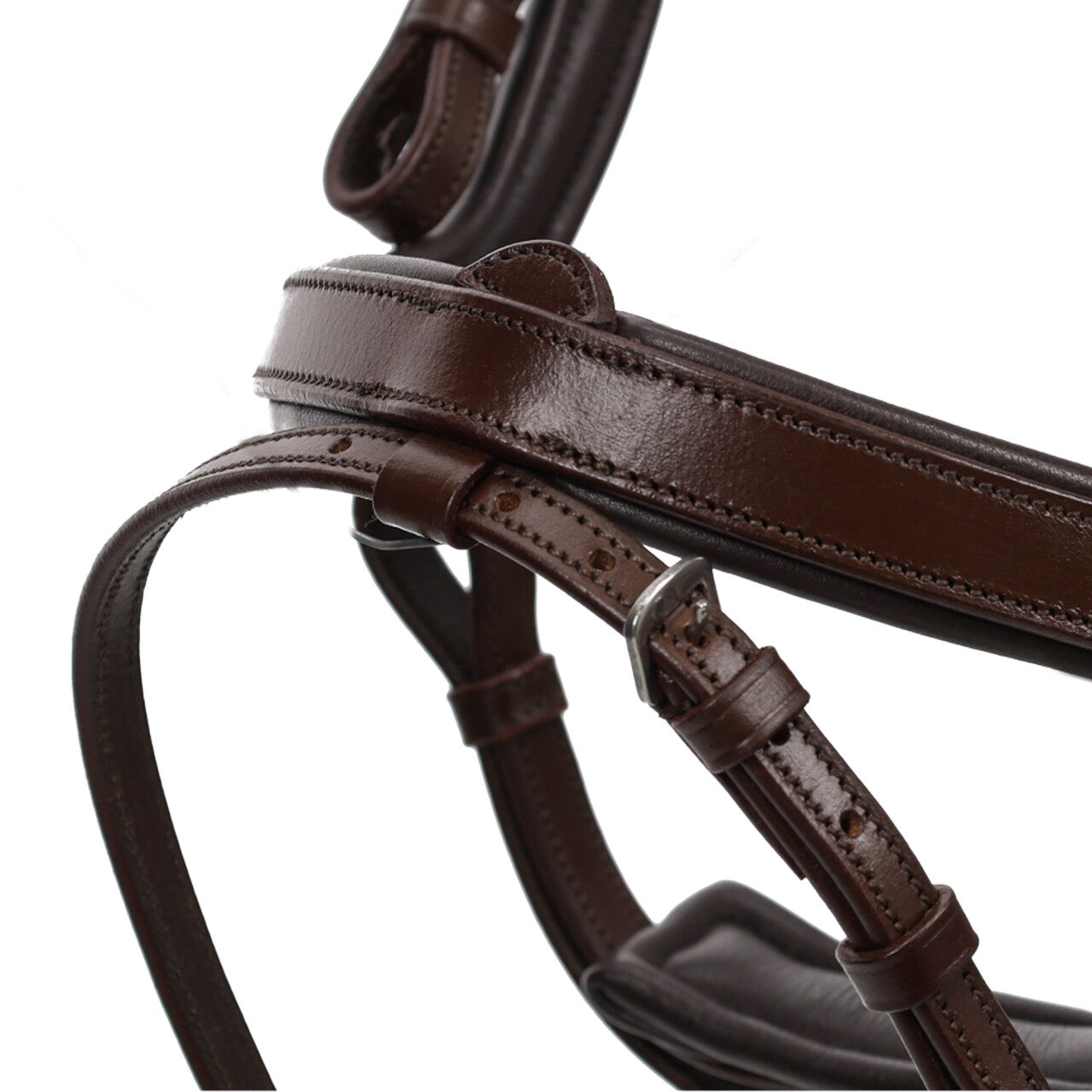 QHP Salerno Bridle
