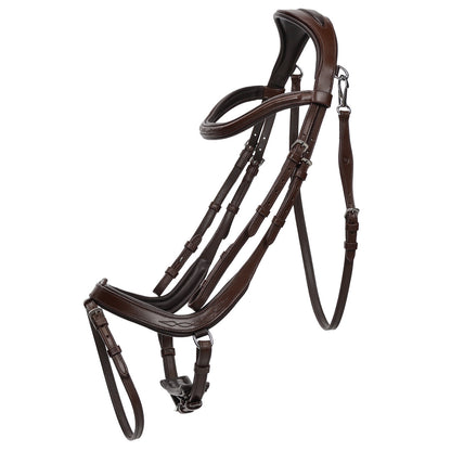 QHP Salerno Bridle
