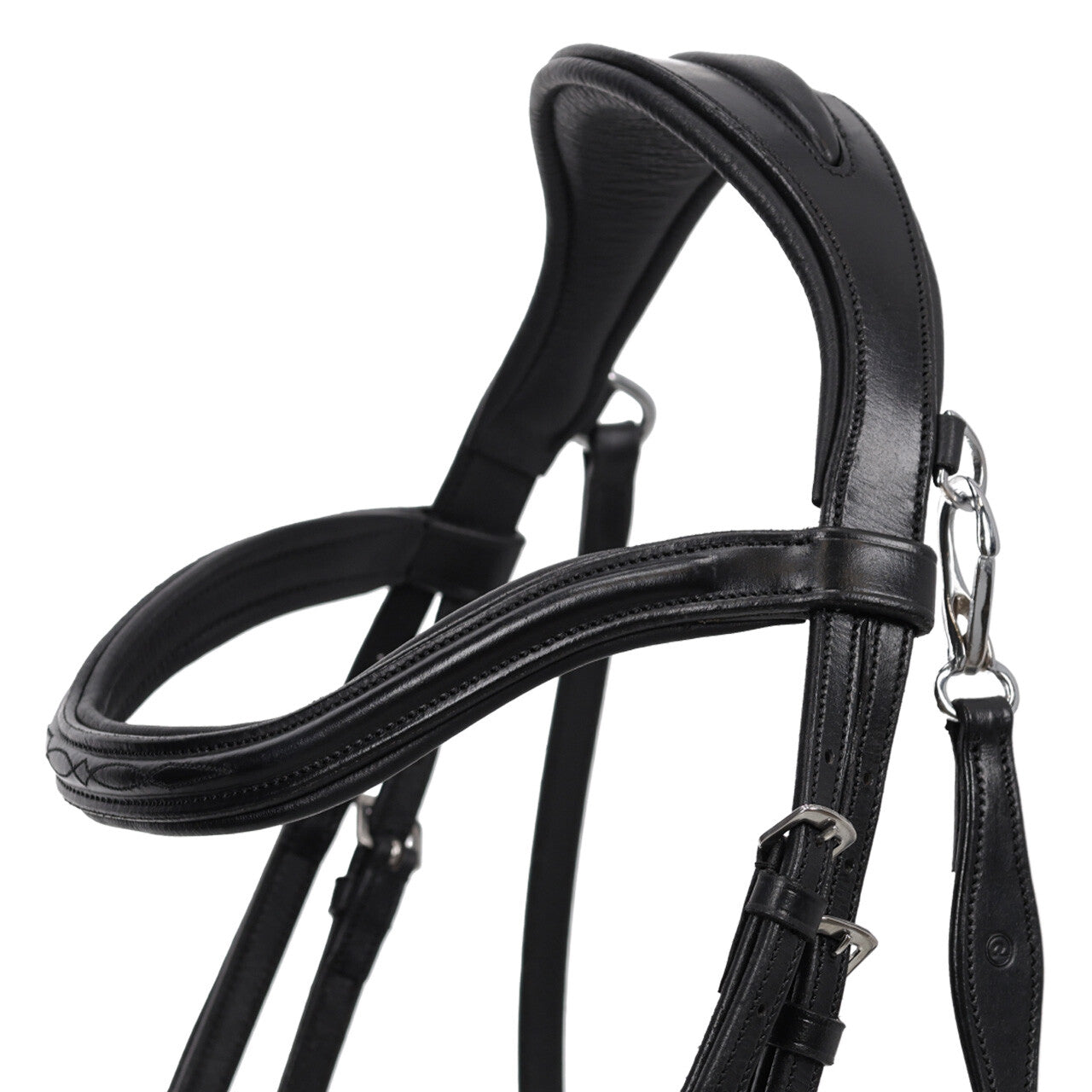 QHP Salerno Bridle
