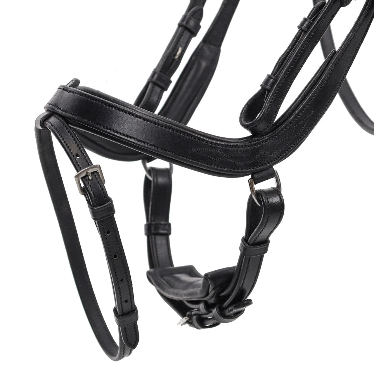 QHP Salerno Bridle