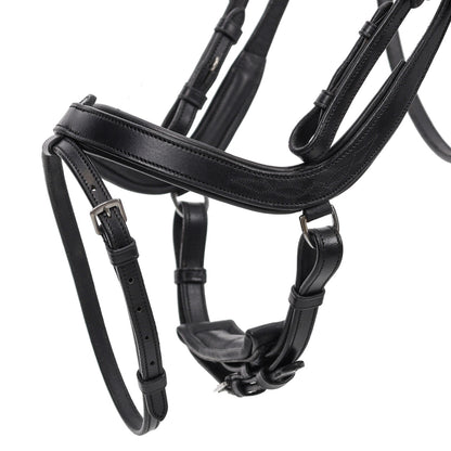 QHP Salerno Bridle