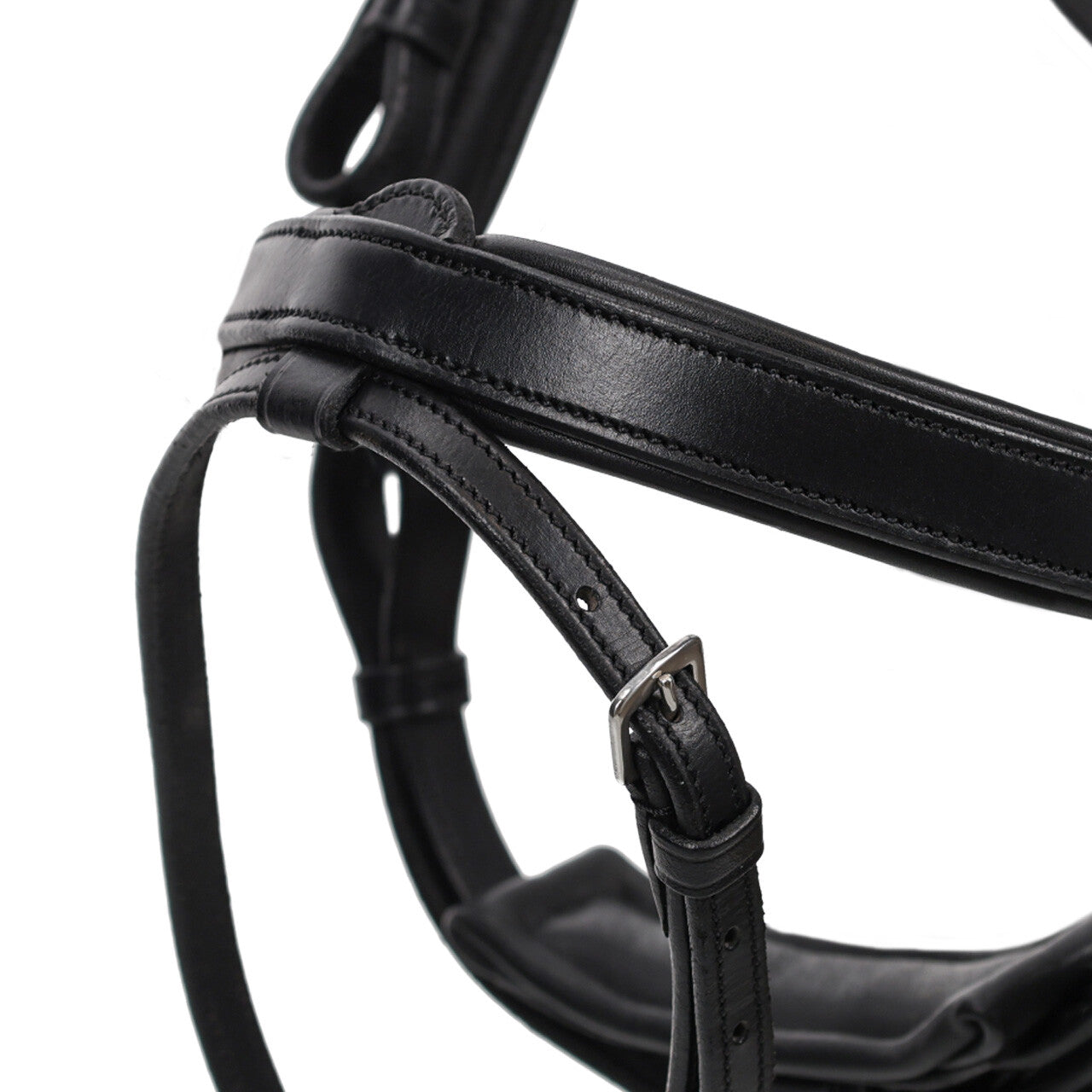 QHP Salerno Bridle