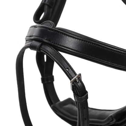QHP Salerno Bridle