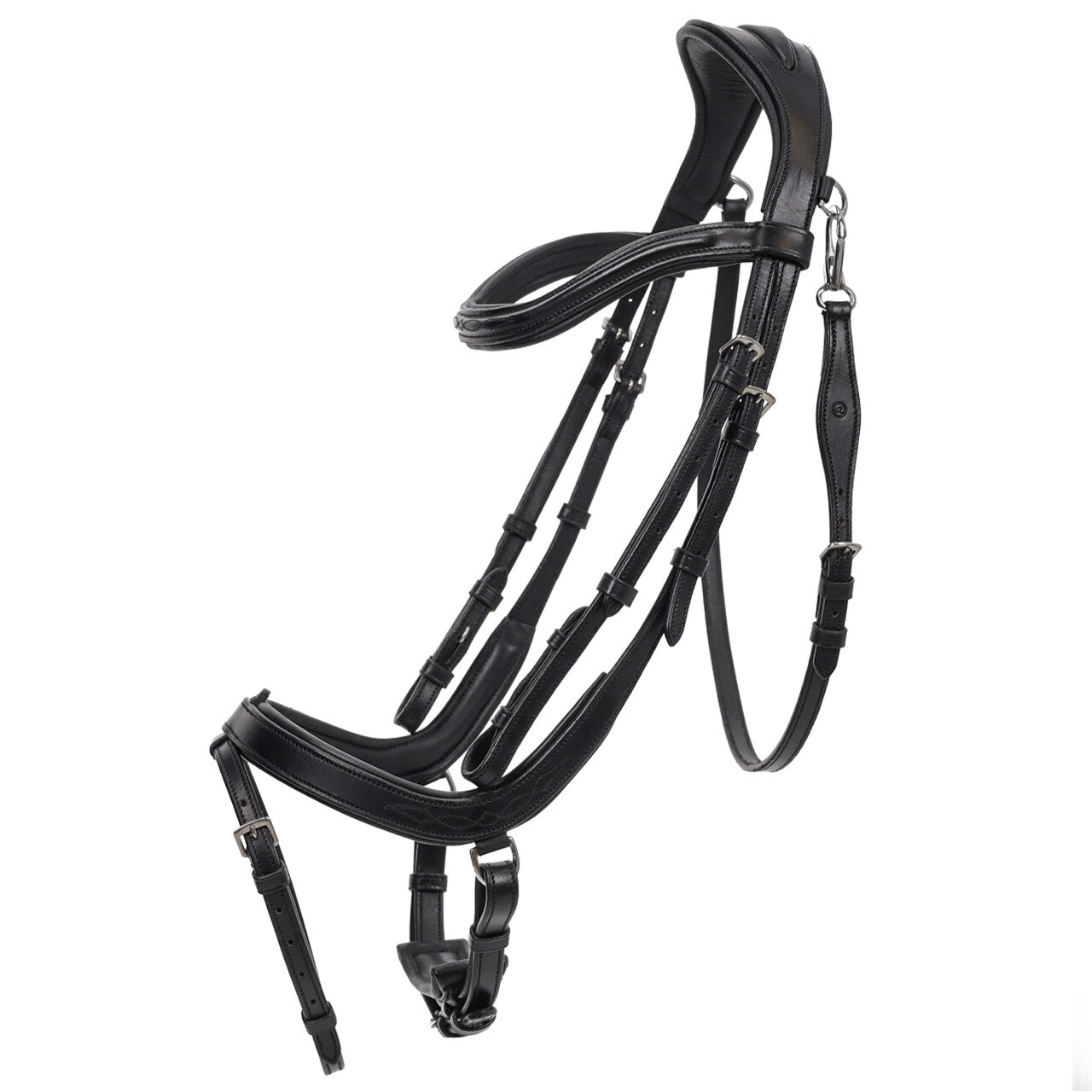 QHP Salerno Bridle