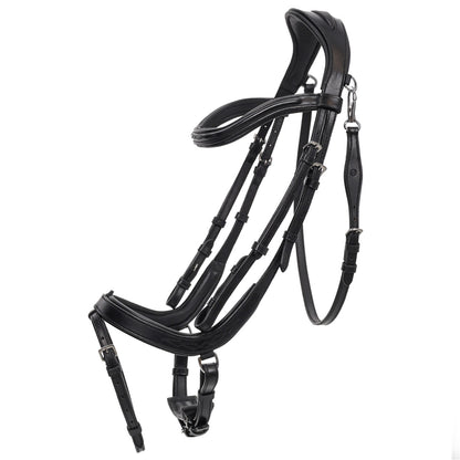 QHP Salerno Bridle