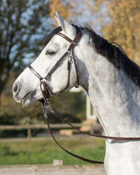 Bitless Bridle Ceto