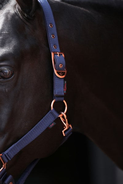 Classy Halter