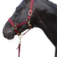 Classy Halter